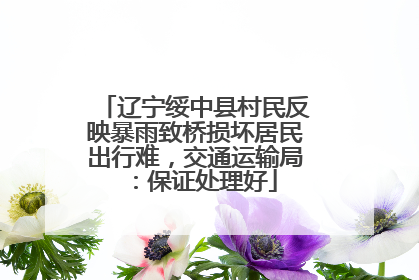辽宁绥中县村民反映暴雨致桥损坏居民出行难，交通运输局：保证处理好