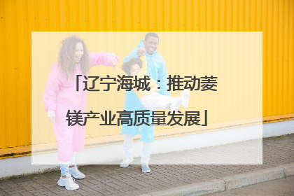辽宁海城：推动菱镁产业高质量发展