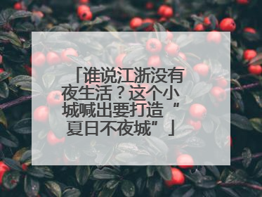 谁说江浙没有夜生活？这个小城喊出要打造“夏日不夜城”