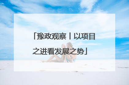 豫政观察丨以项目之进看发展之势