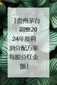 贵州茅台：调整2024年度利润分配方案每股分红金额