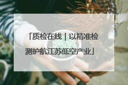 质检在线｜以精准检测护航江苏低空产业