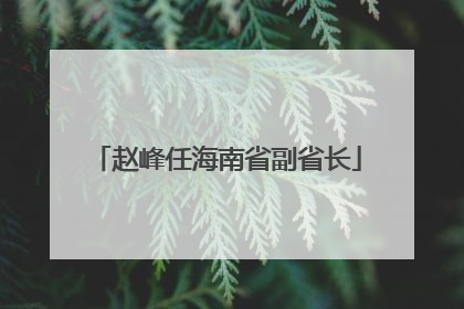 赵峰任海南省副省长