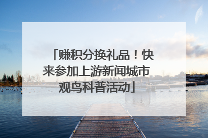 赚积分换礼品！快来参加上游新闻城市观鸟科普活动