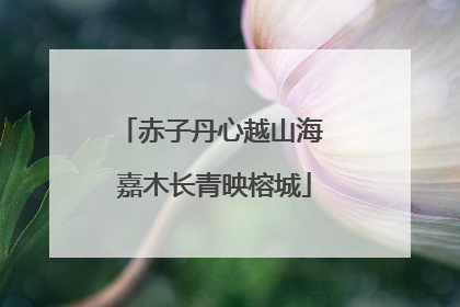 赤子丹心越山海 嘉木长青映榕城
