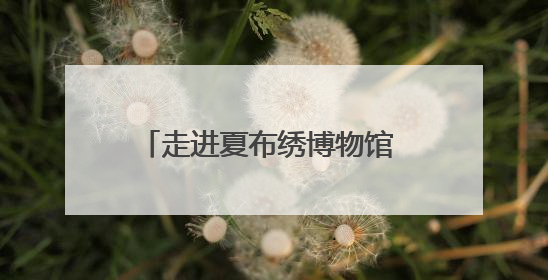 走进夏布绣博物馆 看非遗融入现代生活