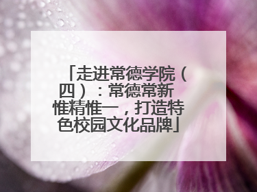 走进常德学院（四）：常德常新 惟精惟一，打造特色校园文化品牌