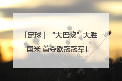 足球｜“大巴黎”大胜国米 首夺欧冠冠军