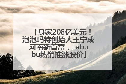 身家208亿美元！泡泡玛特创始人王宁成河南新首富，Labubu热销推涨股价