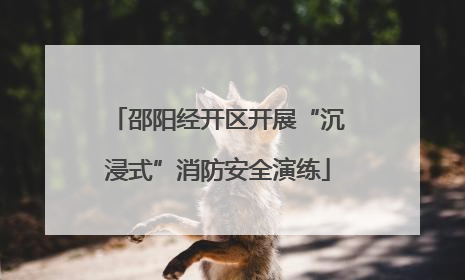 邵阳经开区开展“沉浸式”消防安全演练