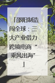 邵阳制造闯全球：三大产业借力跨境电商“乘风出海”
