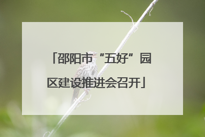 邵阳市“五好”园区建设推进会召开