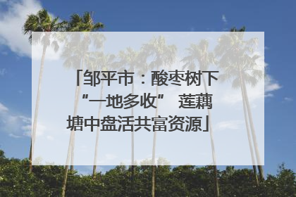 邹平市：酸枣树下“一地多收” 莲藕塘中盘活共富资源