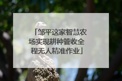 邹平这家智慧农场实现耕种管收全程无人精准作业
