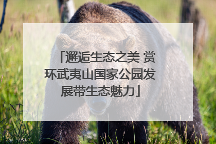 邂逅生态之美 赏环武夷山国家公园发展带生态魅力