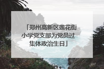郑州高新区莲花街小学党支部为党员过集体政治生日