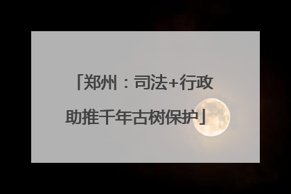 郑州：司法+行政助推千年古树保护