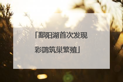 鄱阳湖首次发现彩鹮筑巢繁殖