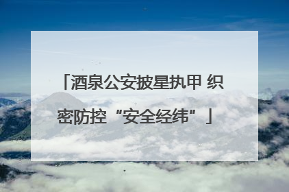 酒泉公安披星执甲 织密防控“安全经纬”