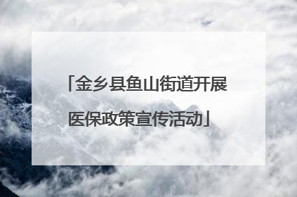 金乡县鱼山街道开展医保政策宣传活动