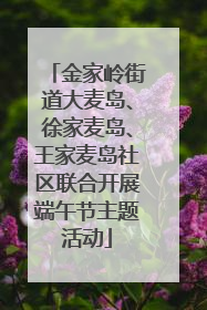 金家岭街道大麦岛、徐家麦岛、王家麦岛社区联合开展端午节主题活动