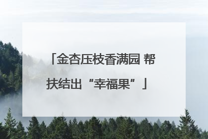 金杏压枝香满园 帮扶结出“幸福果”