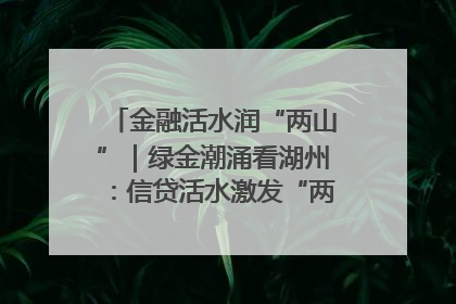 金融活水润“两山”｜绿金潮涌看湖州：信贷活水激发“两山”转化势能