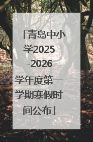 青岛中小学2025-2026学年度第一学期寒假时间公布