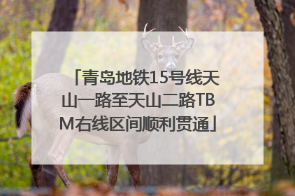 青岛地铁15号线天山一路至天山二路TBM右线区间顺利贯通
