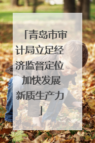 青岛市审计局立足经济监督定位 加快发展新质生产力