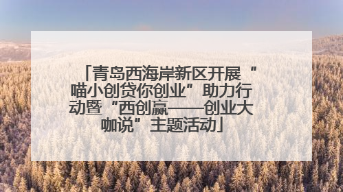 青岛西海岸新区开展“喵小创贷你创业”助力行动暨“西创赢——创业大咖说”主题活动