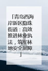 青岛西海岸新区隐珠街道：高效推进林业执法，筑牢林地安全屏障
