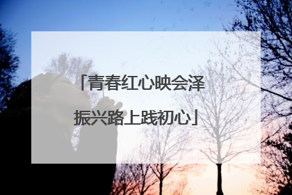 青春红心映会泽 振兴路上践初心