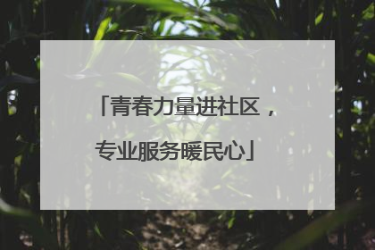 青春力量进社区，专业服务暖民心