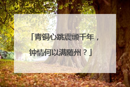 青铜心跳震颤千年，钟情何以满随州？