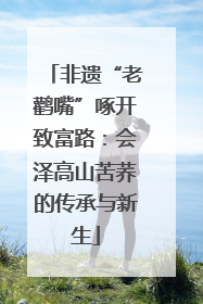 非遗“老鹳嘴”啄开致富路：会泽高山苦荞的传承与新生