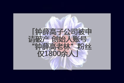 钟薛高子公司被申请破产 创始人账号“钟薛高老林”粉丝仅1800余人