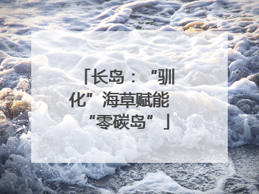 长岛：“驯化”海草赋能“零碳岛”