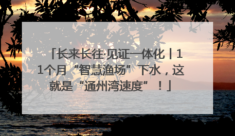 长来长往·见证一体化丨11个月“智慧渔场”下水，这就是“通州湾速度”！