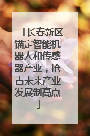长春新区锚定智能机器人和传感器产业，抢占未来产业发展制高点