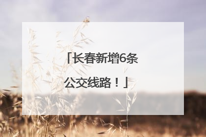 长春新增6条公交线路！
