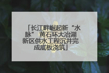 长江畔崛起新“水脉” 黄石环大冶湖新区供水工程沉井完成底板浇筑
