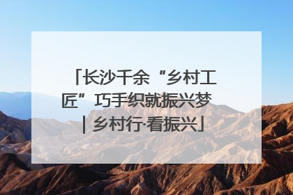 长沙千余“乡村工匠”巧手织就振兴梦｜乡村行·看振兴