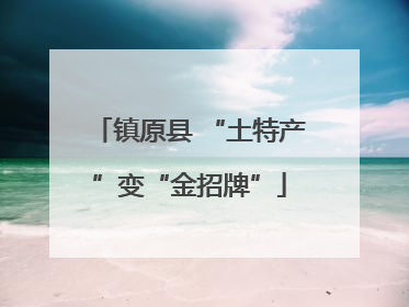 镇原县 “土特产”变“金招牌”