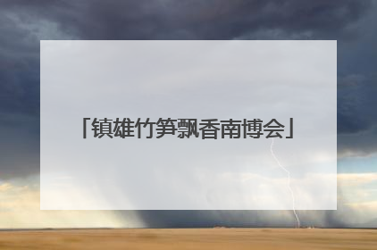 镇雄竹笋飘香南博会