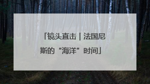 镜头直击｜法国尼斯的“海洋”时间