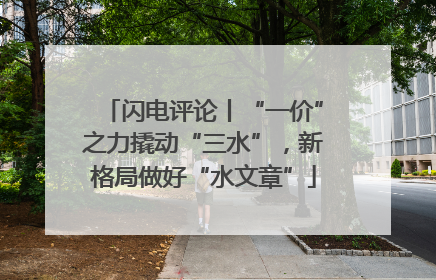 闪电评论丨“一价”之力撬动“三水”，新格局做好“水文章”