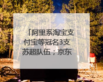 阿里系淘宝支付宝等冠名3支苏超队伍；京东：目前京东币链科技并没有开始发行稳定币｜早资道