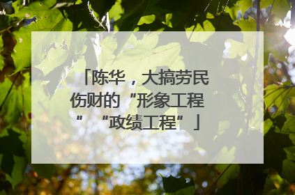 陈华，大搞劳民伤财的“形象工程”“政绩工程”