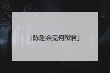 陈刚会见何猷君